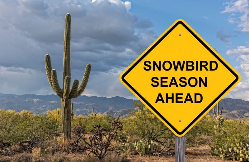 Picture of yellow road sign near cactus that says “Snowbird season ahead”.
